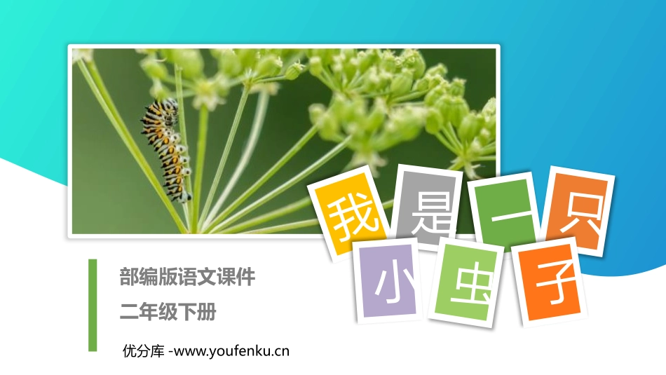 《我是一只小虫子》PPT课件[部编版二年级语文下册]_第1页