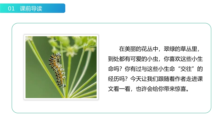 《我是一只小虫子》PPT课件[部编版二年级语文下册]_第2页