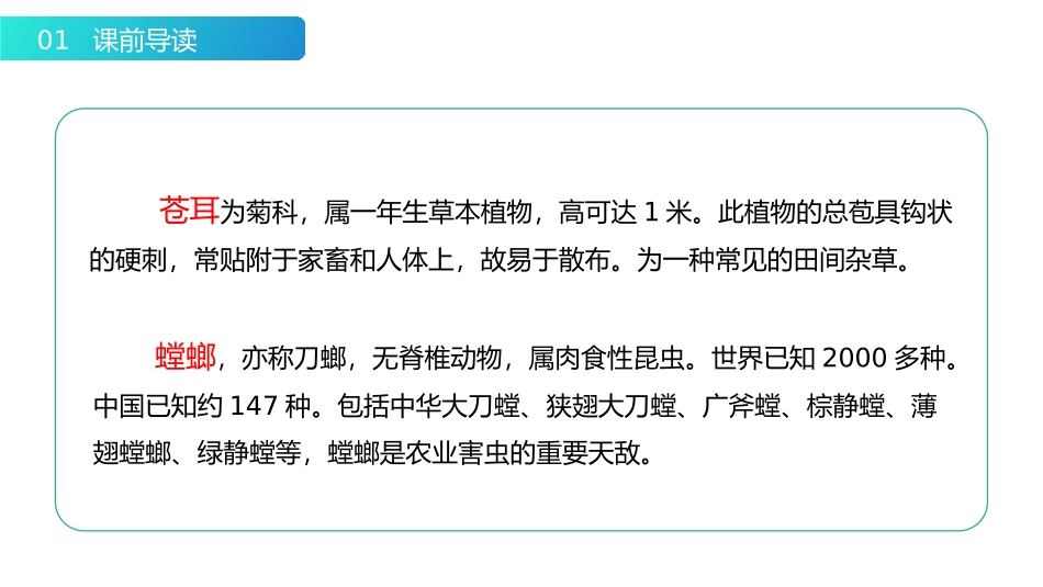 《我是一只小虫子》PPT课件[部编版二年级语文下册]_第3页