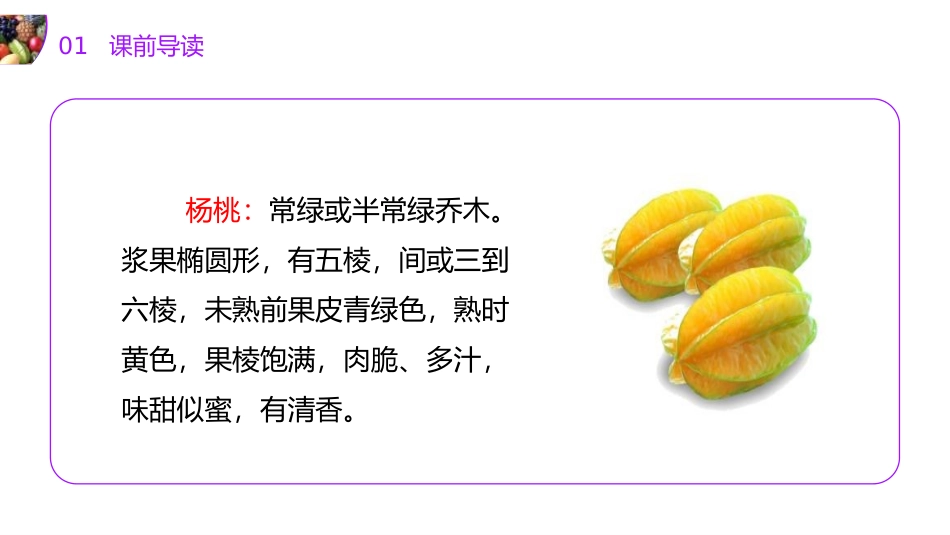 《画杨桃》PPT课件[部编版二年级语文下册]_第3页
