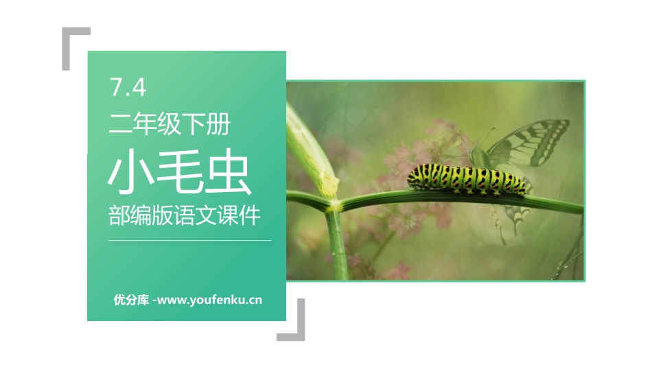 《小毛虫》PPT课件[部编版二年级语文下册]_第1页