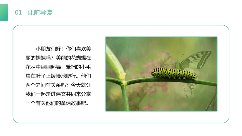 《小毛虫》PPT课件[部编版二年级语文下册]_第2页