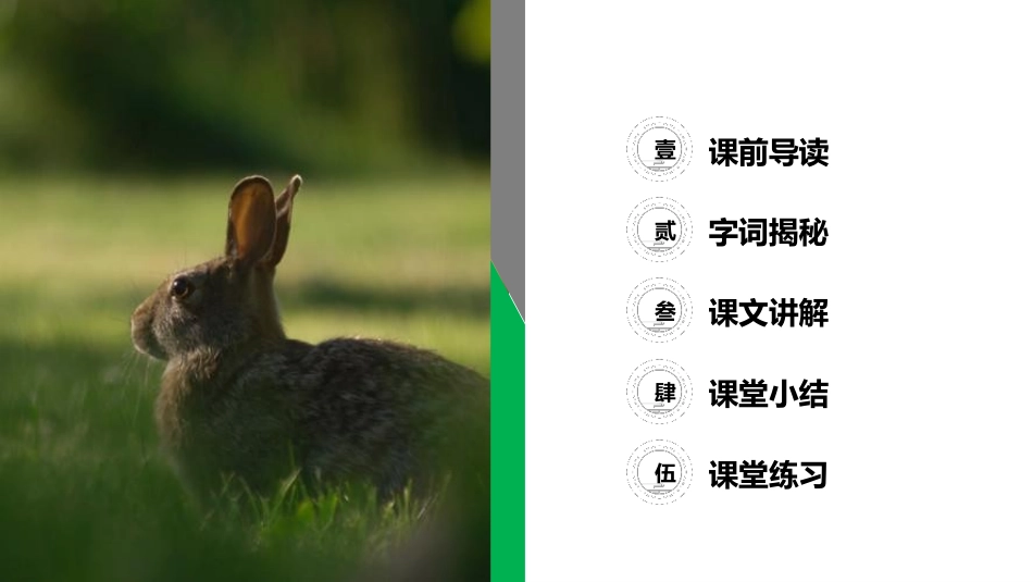 《守株待兔》PPT课件[部编版三年级语文下册]_第2页
