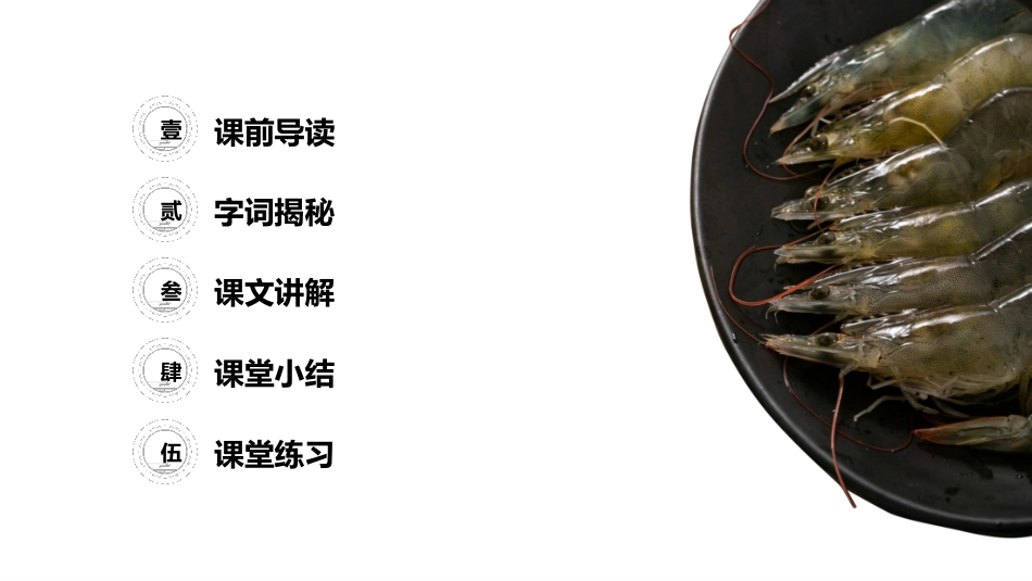 《小虾》PPT课件[部编版三年级语文下册]_第2页