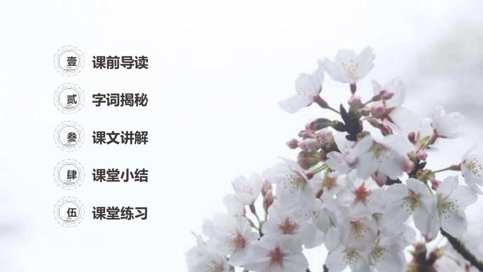 《三月桃花水》PPT课件[部编版四年级语文下册]_第2页