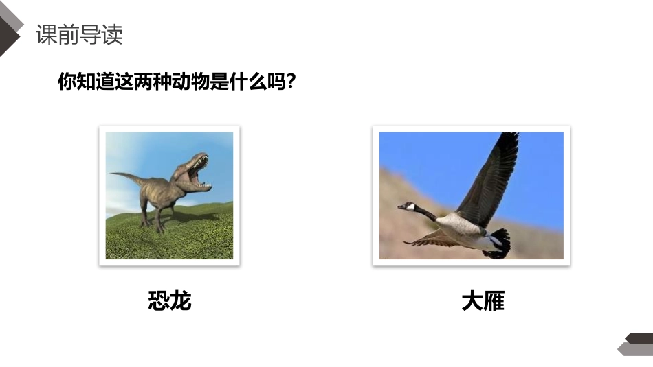 《飞向蓝天的恐龙》PPT课件[部编版四年级语文下册]_第3页