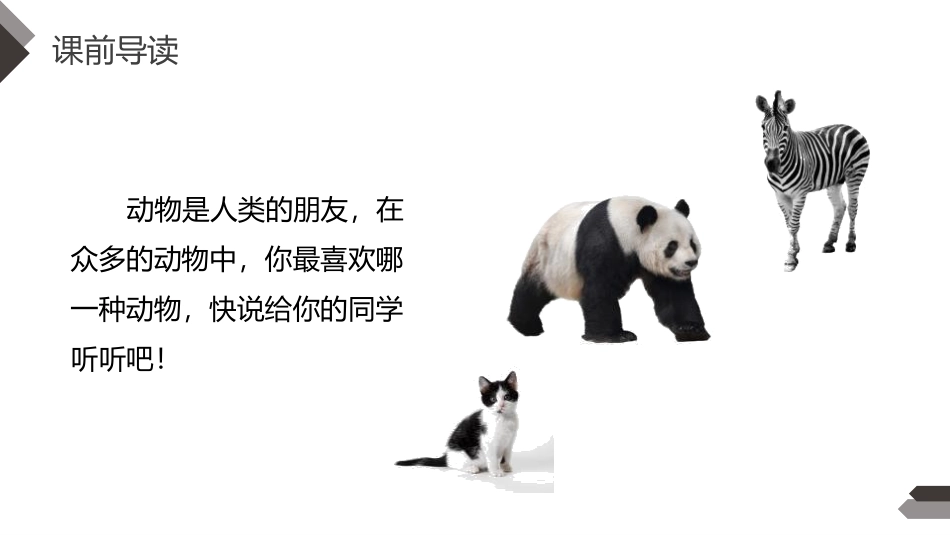 《我的动物朋友》PPT课件[部编版四年级语文下册]_第2页