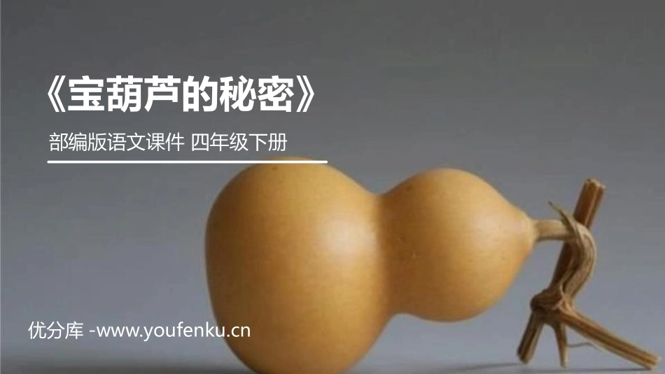 《宝葫芦的秘密》PPT课件[部编版四年级语文下册]_第1页