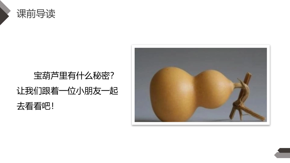 《宝葫芦的秘密》PPT课件[部编版四年级语文下册]_第3页