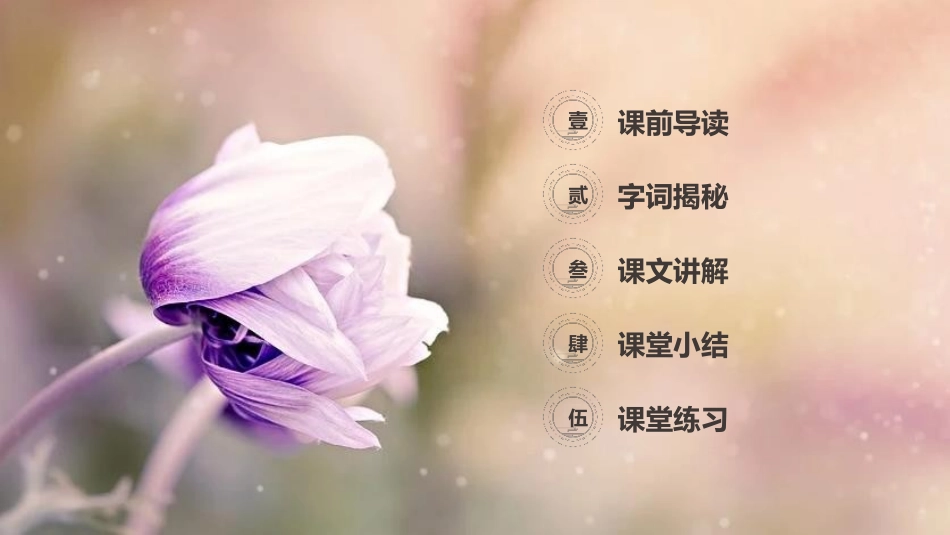 《巨人的花园》PPT课件[部编版四年级语文下册]_第2页