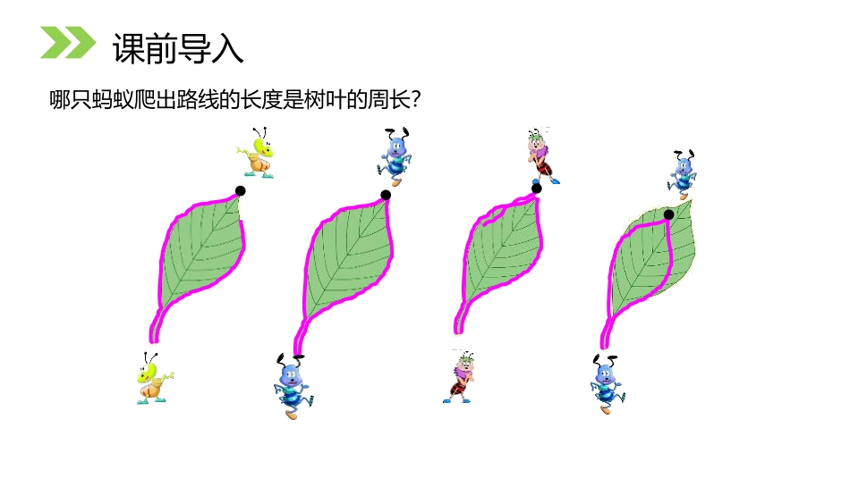 《认识周长》PPT课件[人教版三年级数学上册]_第2页