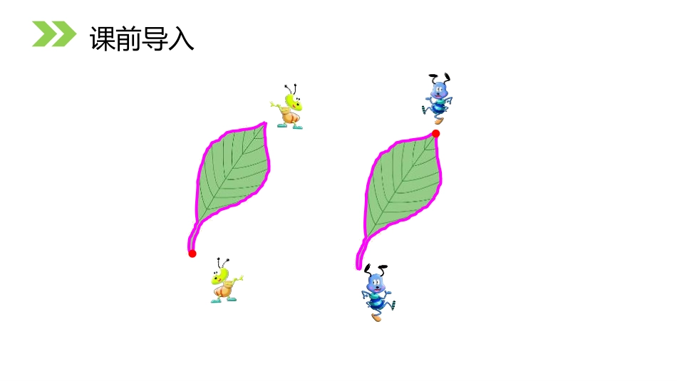 《认识周长》PPT课件[人教版三年级数学上册]_第3页