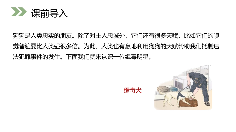 第一单元 小数乘法《积的近似数》PPT课件[人教版五年级数学]_第1页