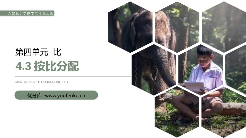 第四单元 比《按比分配》PPT课件[人教版六年级数学上册]_第1页