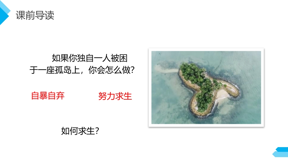 《鲁滨逊漂流记》PPT课件[部编版六年级语文下册]_第3页