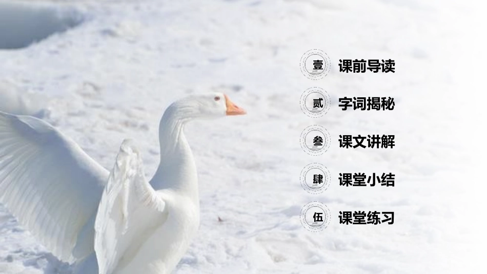 《骑鹅旅行记》PPT课件[部编版六年级语文下册]_第2页