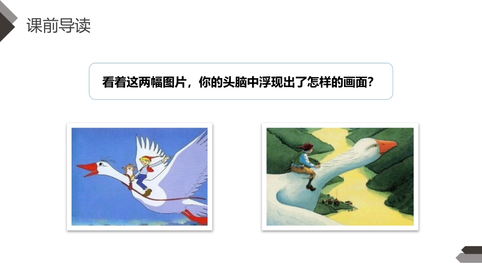 《骑鹅旅行记》PPT课件[部编版六年级语文下册]_第3页