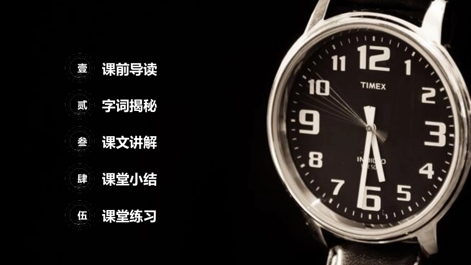 《表里的生物》PPT课件[部编版六年级语文下册]_第2页