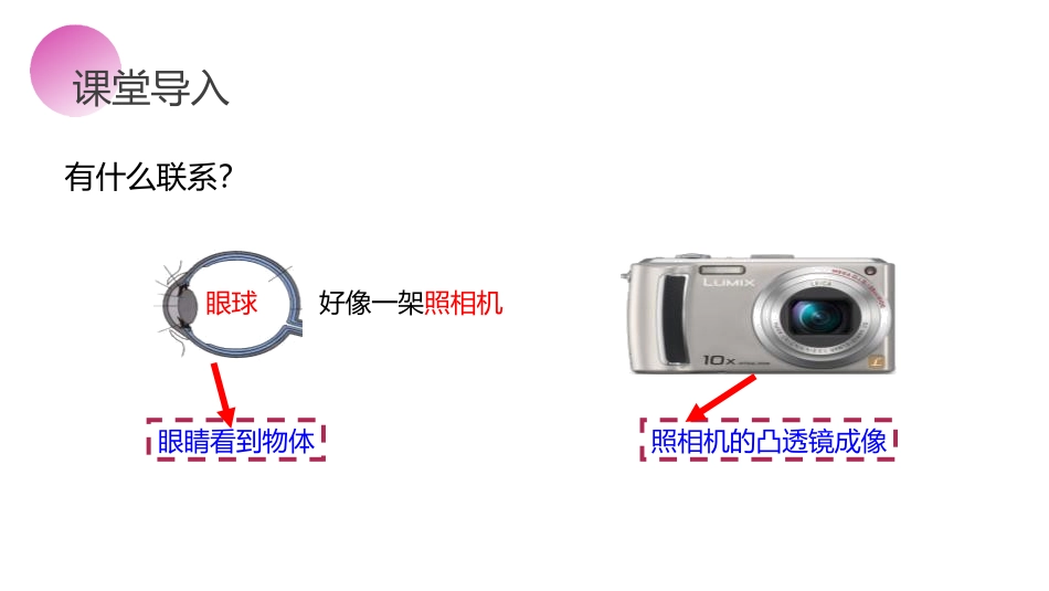 《眼睛和眼镜》PPT课件[人教版八年级物理上册]_第2页