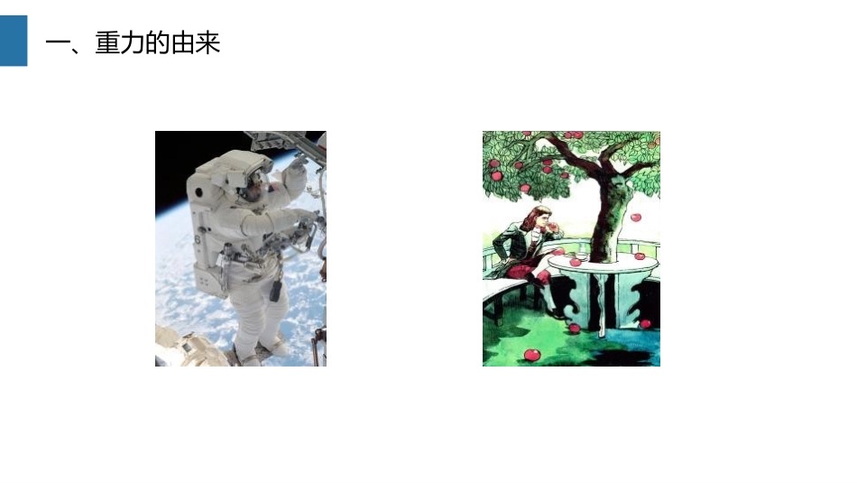 《重力》PPT课件[人教版八年级物理下册]_第2页