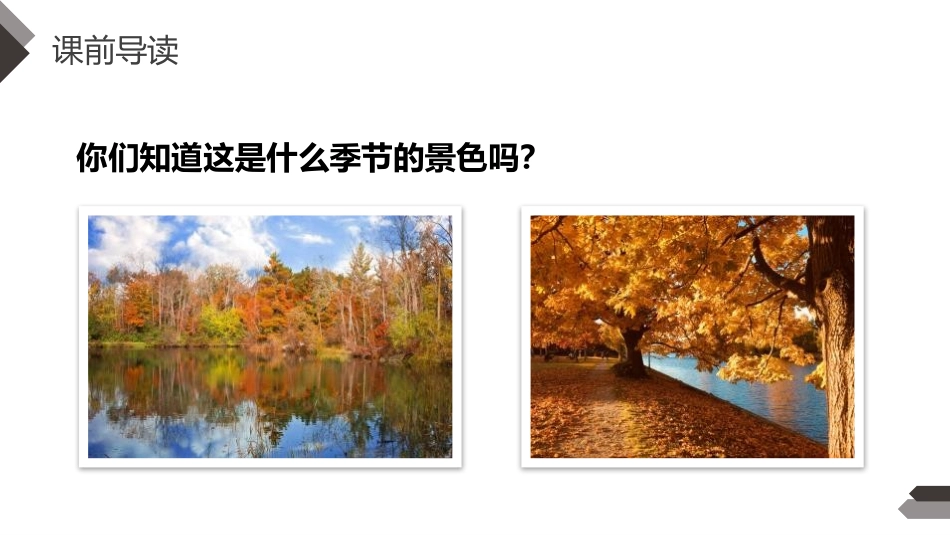 《秋天》PPT免费课件[部编版一年级语文上册]_第2页