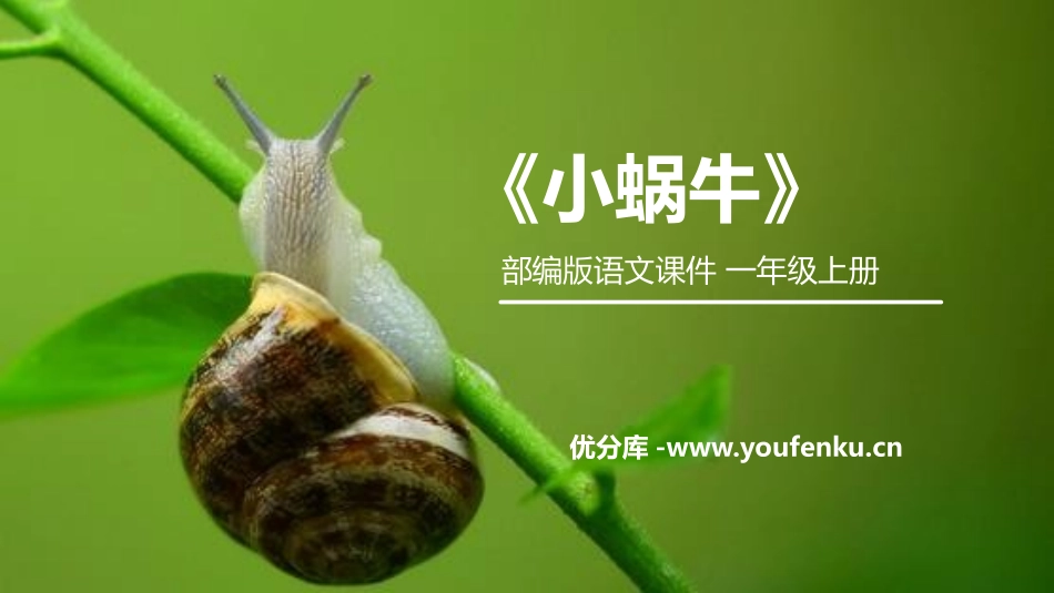 《小蜗牛》PPT课件[部编版一年级语文上册]_第1页