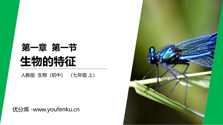 《生物的特征》PPT课件[人教版七年级生物上册]_第1页