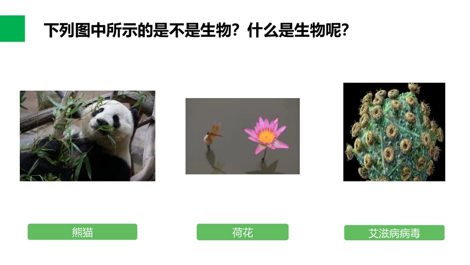 《生物的特征》PPT课件[人教版七年级生物上册]_第3页