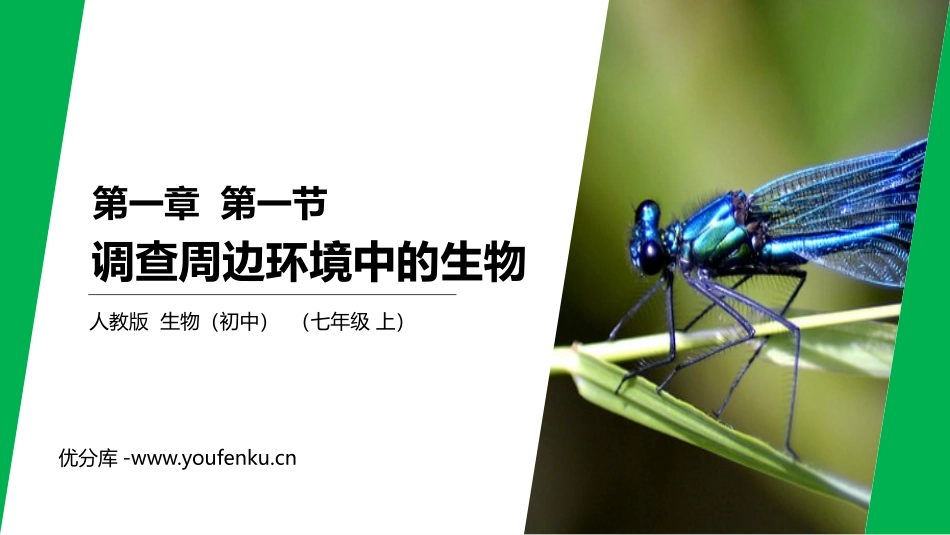 《调查周边环境中的生物》PPT课件[人教版七年级生物上册]_第1页