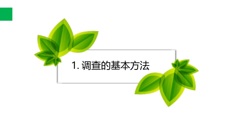 《调查周边环境中的生物》PPT课件[人教版七年级生物上册]_第3页