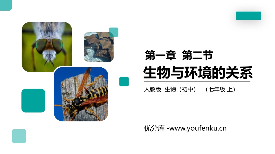《生物与环境的关系》PPT精品课件[人教版七年级生物上册]_第1页