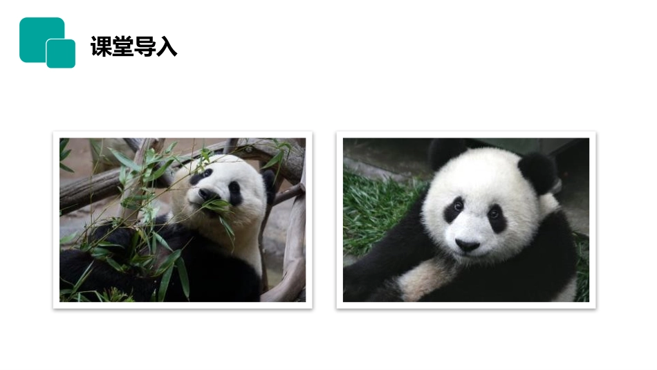 《生物与环境的关系》PPT精品课件[人教版七年级生物上册]_第2页