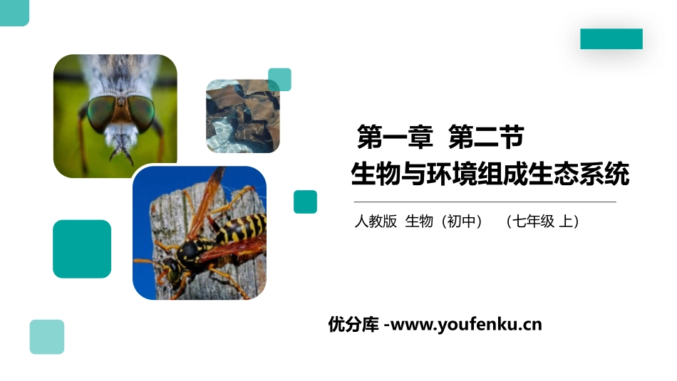 《生物与环境组成生态系统》PPT精品课件[人教版七年级生物]_第1页
