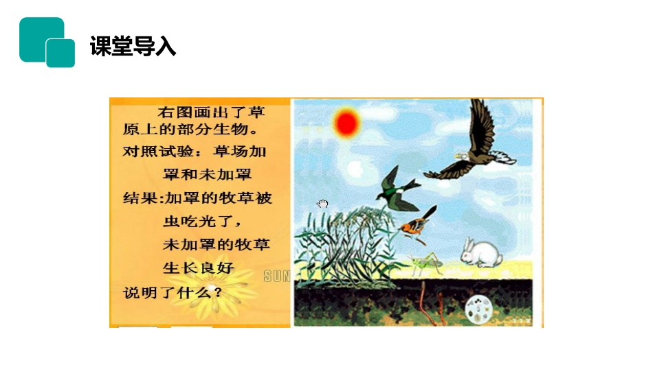 《生物与环境组成生态系统》PPT精品课件[人教版七年级生物]_第2页