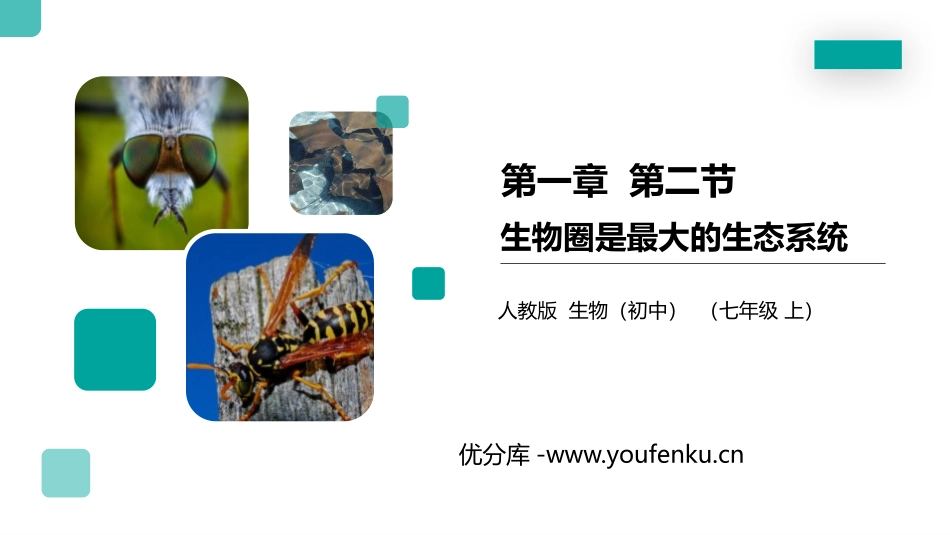 《生物圈是最大的生态系统》PPT精品课件[人教版七年级生物]_第1页