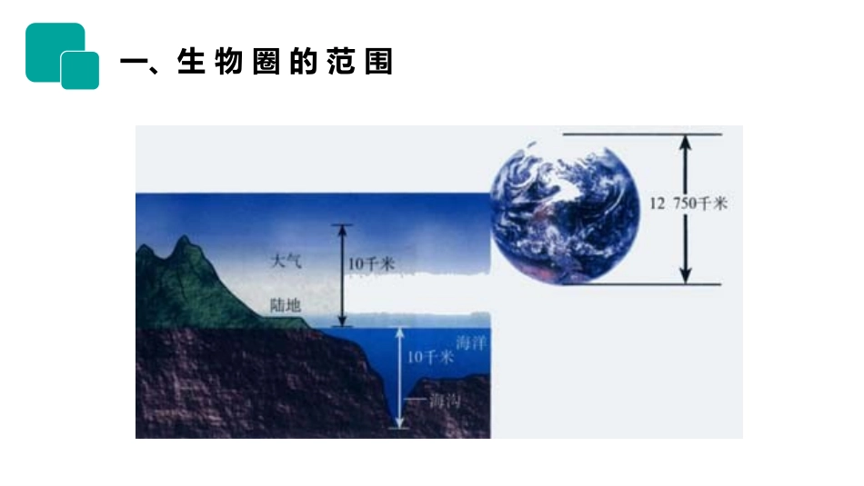 《生物圈是最大的生态系统》PPT精品课件[人教版七年级生物]_第2页