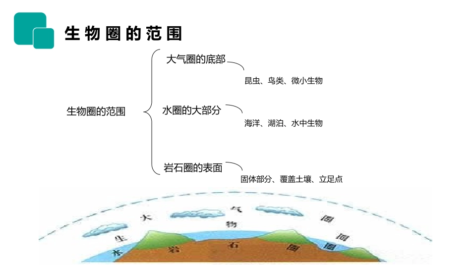 《生物圈是最大的生态系统》PPT精品课件[人教版七年级生物]_第3页