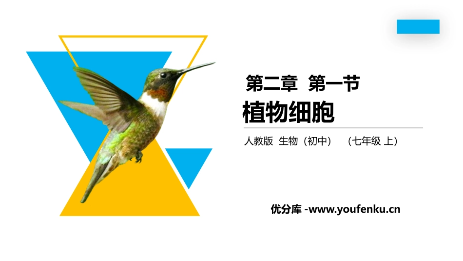 《植物细胞》PPT精品课件[人教版七年级生物上册]_第1页