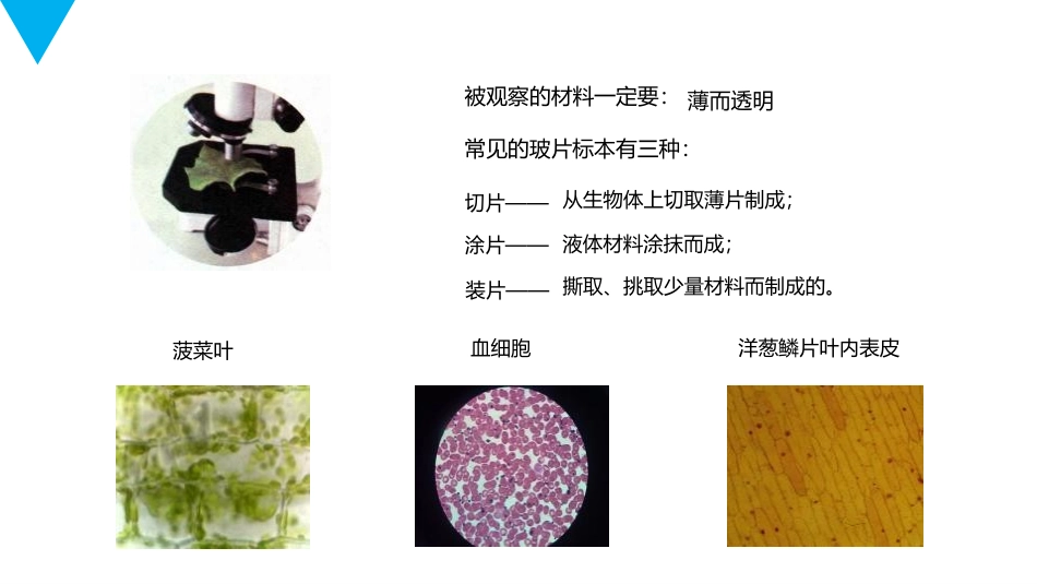 《植物细胞》PPT精品课件[人教版七年级生物上册]_第3页