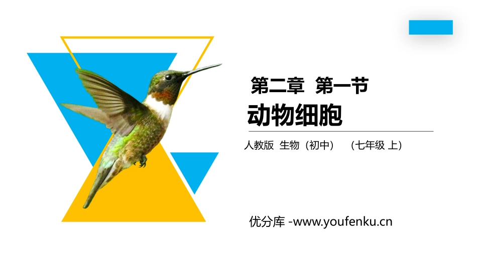 《动物细胞》PPT精品课件[人教版七年级生物上册]_第1页