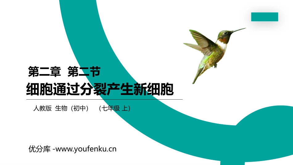 《细胞通过分裂产生新细胞》PPT精品课件[人教版七年级生物]_第1页