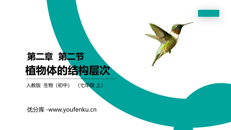 《植物体的结构层次》PPT精品课件[人教版七年级生物上册]_第1页
