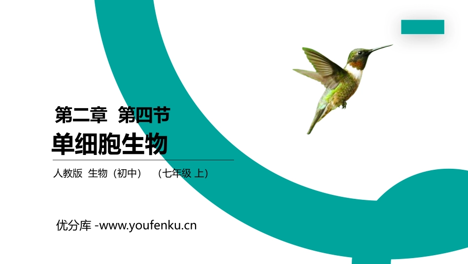 《单细胞生物》PPT精品课件[人教版七年级生物上册]_第1页