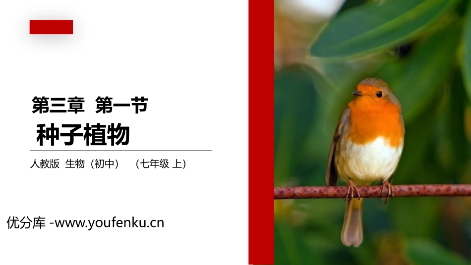 《种子植物》PPT精品课件[人教版七年级生物上册]_第1页
