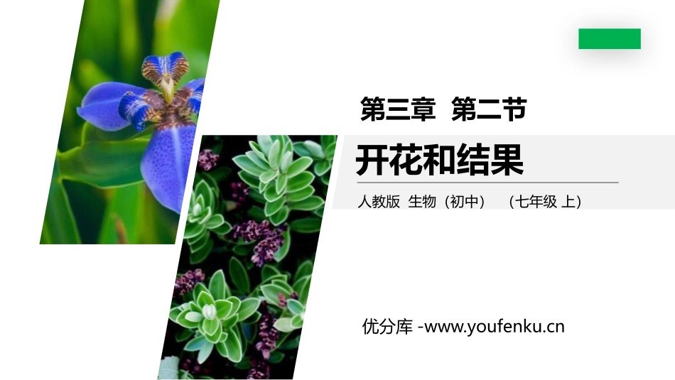 《开花和结果》PPT精品课件[人教版七年级生物上册]_第1页