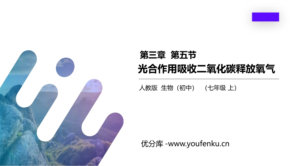《光合作用吸收二氧化碳释放氧气》PPT精品课件[人教版七年级生物]_第1页
