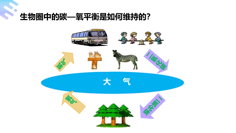 《光合作用吸收二氧化碳释放氧气》PPT精品课件[人教版七年级生物]_第2页