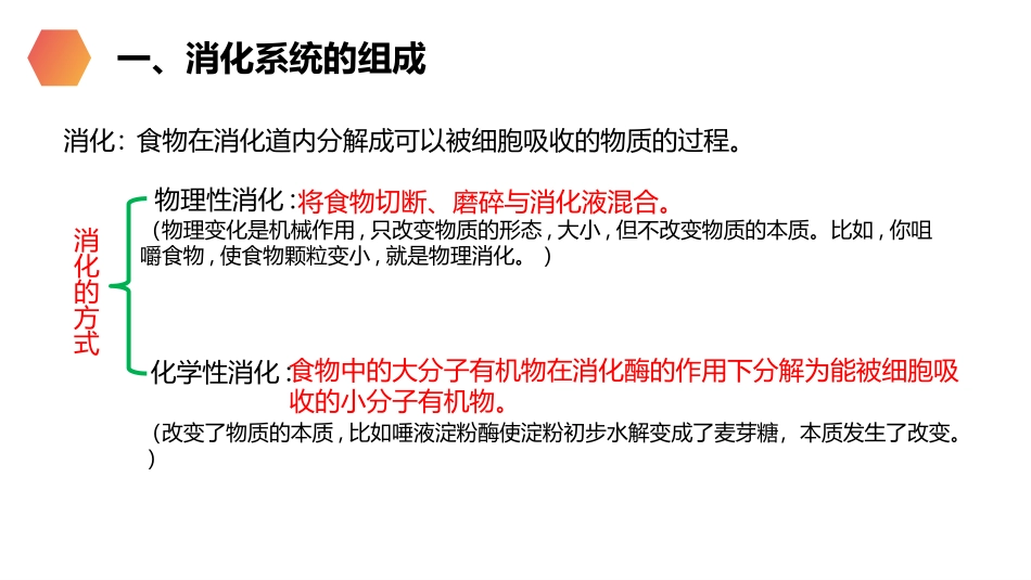 《消化和吸收》PPT精品课件[人教版七年级生物下册]_第2页