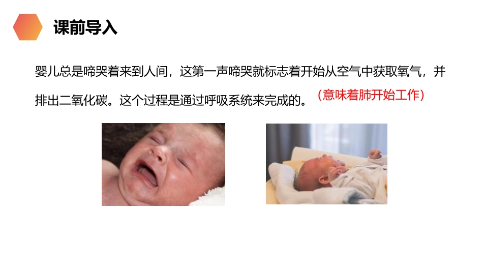《呼吸道对空气的处理》PPT精品课件[人教版七年级生物下册]_第2页