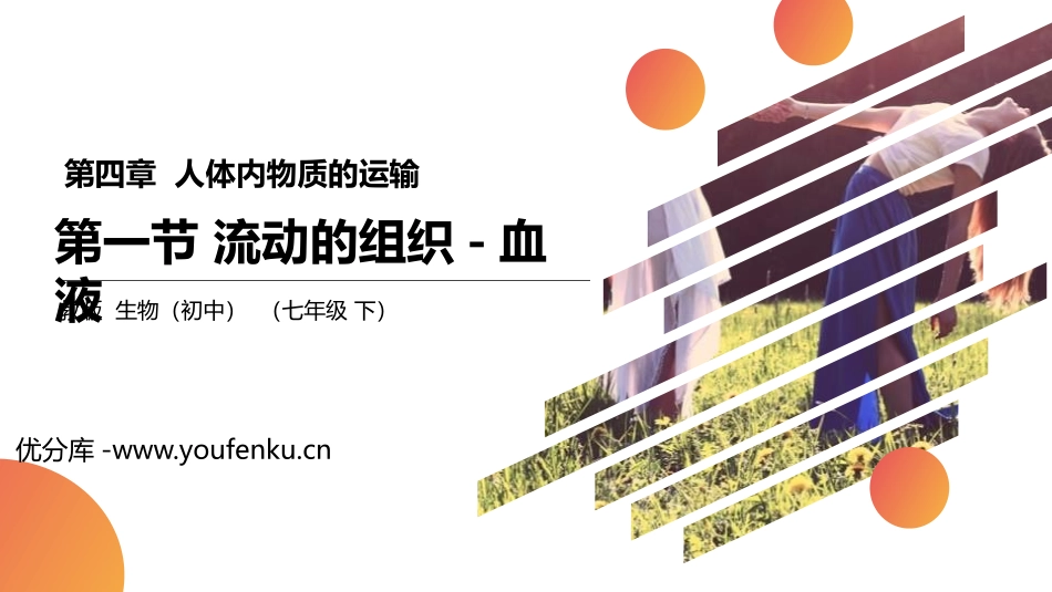 《流动的组织-血液》PPT精品课件[人教版七年级生物下册]_第1页